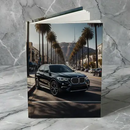 Black BMW X1 Hollywood Palm Tree Street