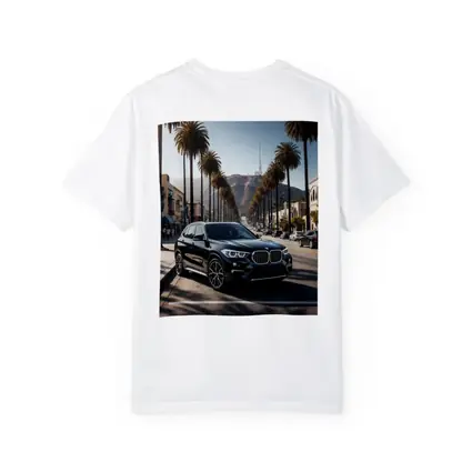 Black BMW X1 Hollywood Palm Tree Street