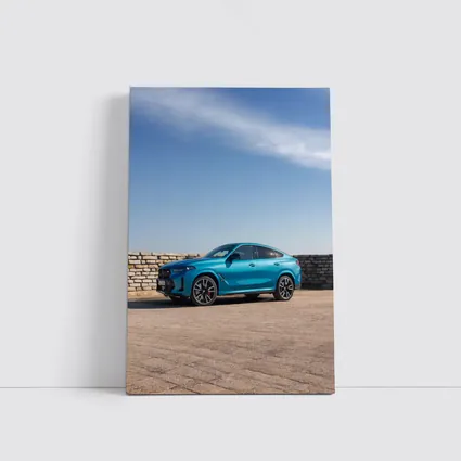 BMW X6 Blue Coupe SUV Outdoor Setting