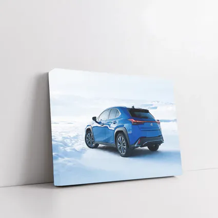 Lexus UX Blue SUV Winter Snow Landscape