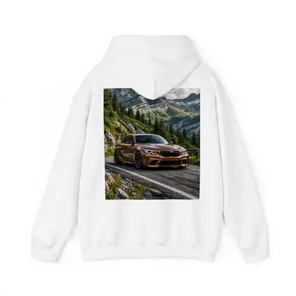 BMW M2 Bronze Coupe Mountain Road