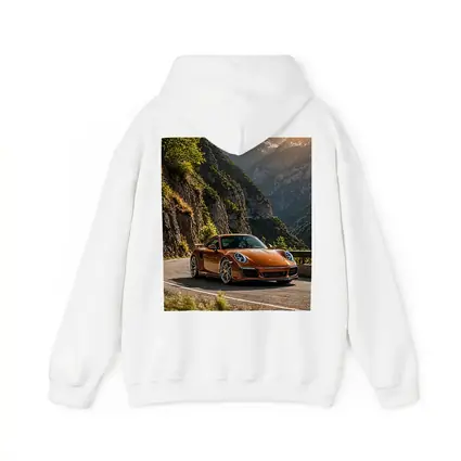 Porsche 911 Orange Mountain Road Drive
