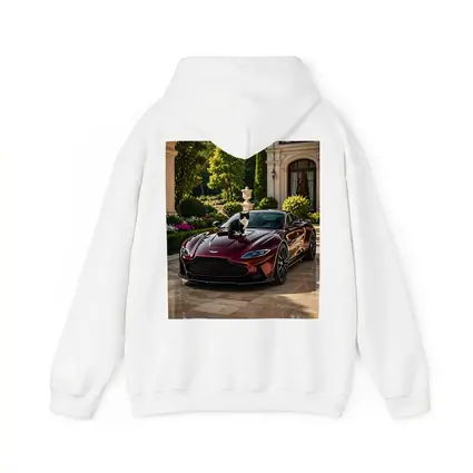 Aston Martin Vantage Tuxedo Cat Mansion Driveway