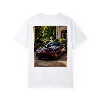 Aston Martin Vantage Tuxedo Cat Mansion Driveway
