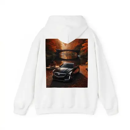 Cadillac CTS Black Sedan Autumn River