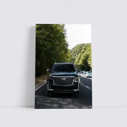 Black Cadillac Escalade On Forest Road