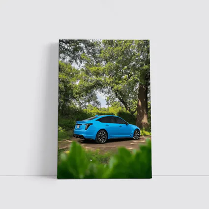 Cadillac CT5 Blue Parked Forest Setting
