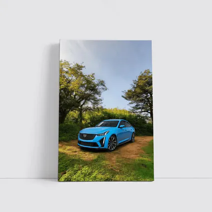 Cadillac CT5 Blue Sedan Forest Setting