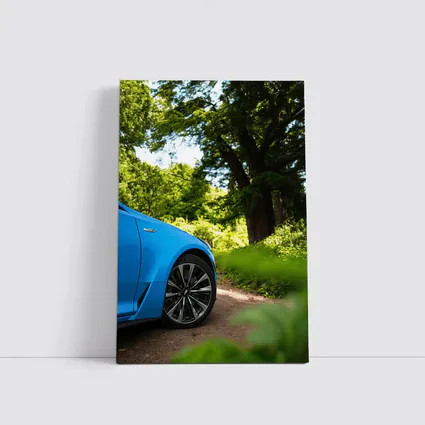 Cadillac CT5 Blue Car Forest Road
