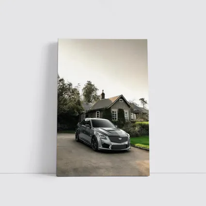 Cadillac CTS Silver Sedan Country Village Setting