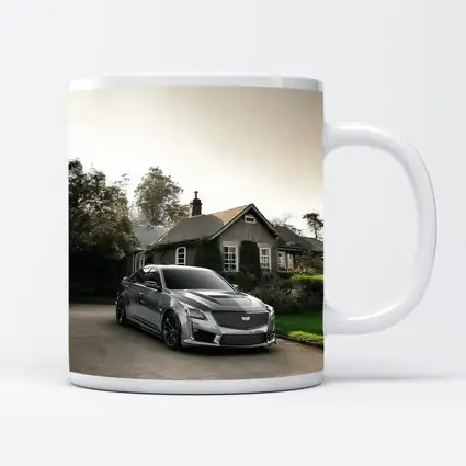 Cadillac CTS Silver Sedan Country Village Setting