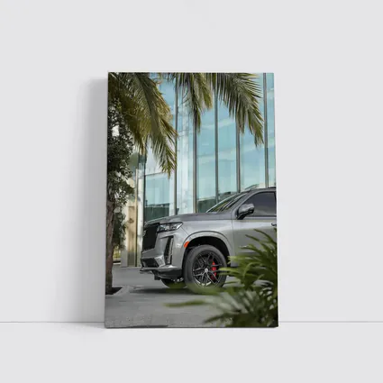 Cadillac Escalade Gray SUV Palm Tree