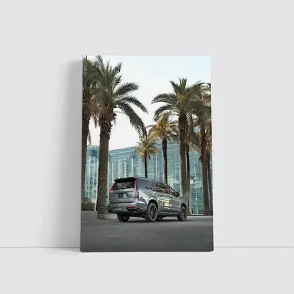 Cadillac Escalade Gray Under Palm Trees