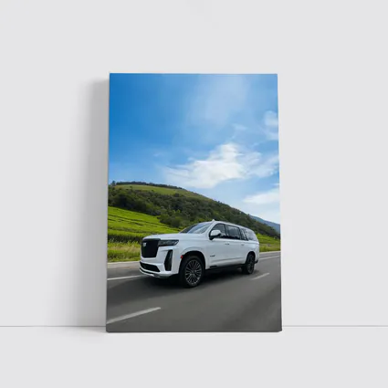 Cadillac Escalade White SUV Green Hills