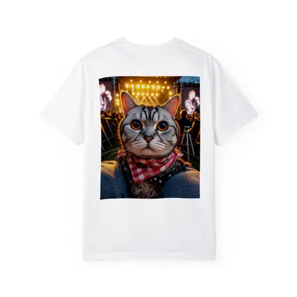 American Shorthair Cat At Concert Stage