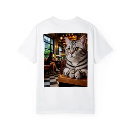 American Shorthair Cat Relaxing In Cafe