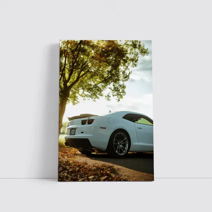 White Chevrolet Camaro Autumn Tree Background