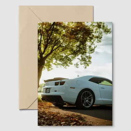 White Chevrolet Camaro Autumn Tree Background