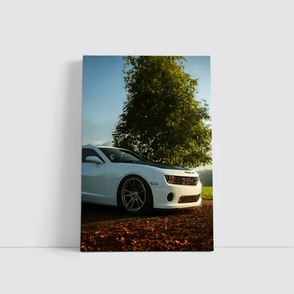 White Chevrolet Camaro Parked Near Green Tree