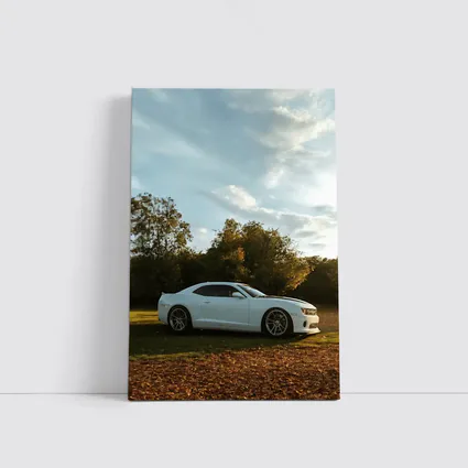 Chevrolet Camaro White Muscle Car Autumn Park