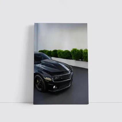 Black Chevrolet Camaro ZL1 Indoor Parking
