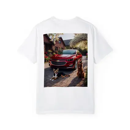 Chevrolet Malibu Red Sedan Dogs Driveway