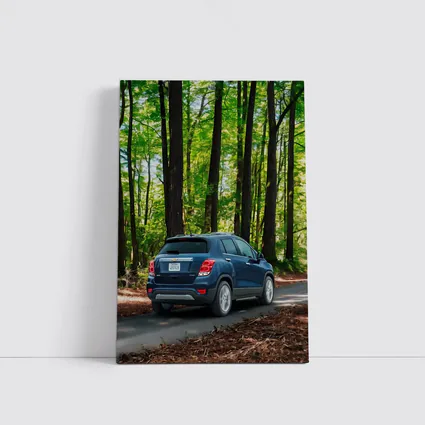 Chevrolet Trax Blue SUV Forest Road