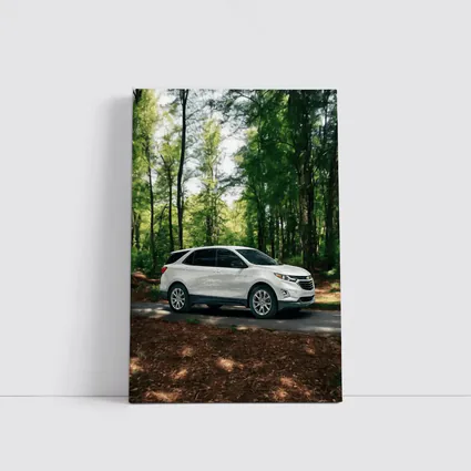 Chevrolet Equinox White SUV Forest Road