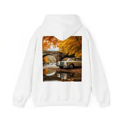 Classic Mercedes Benz S Class Autumn Bridge