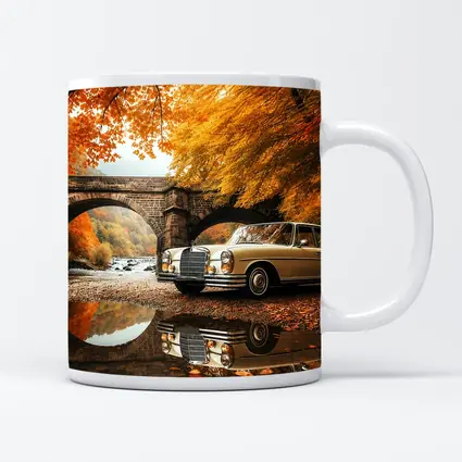 Classic Mercedes Benz S Class Autumn Bridge