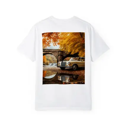 Classic Mercedes Benz S Class Autumn Bridge