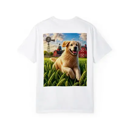 Golden Retriever Running Through Farm Wheat Field