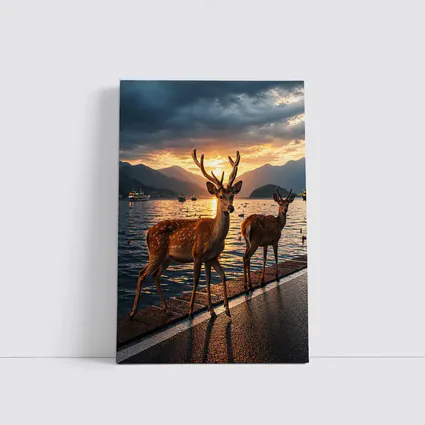 Deer Stags By Lake At Sunset