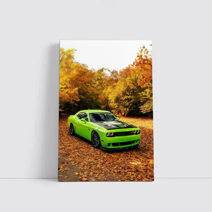 Dodge Challenger Green Muscle Car Autumn