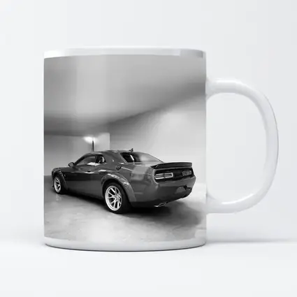 Dodge Challenger Gray Rear Garage Shot