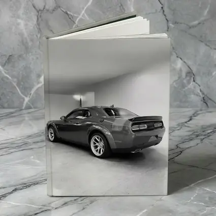 Dodge Challenger Gray Rear Garage Shot