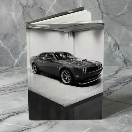 Dodge Challenger Gray Parked Indoor Garage