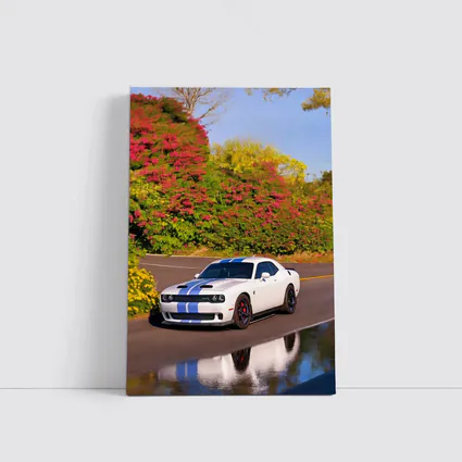 Dodge Challenger SRT White Blue Stripes Road