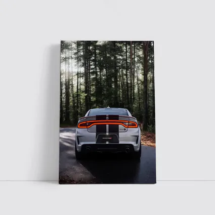 Dodge Charger Rear View Forest Road