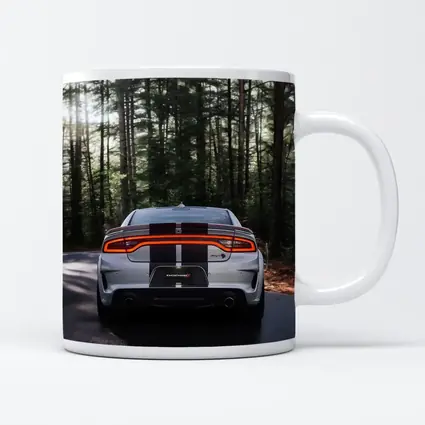 Dodge Charger Rear View Forest Road