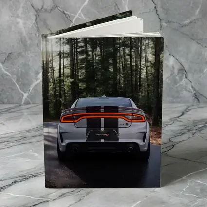 Dodge Charger Rear View Forest Road