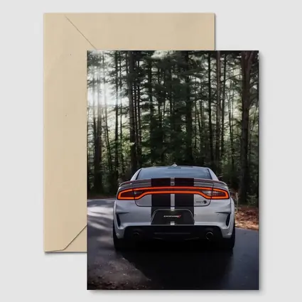 Dodge Charger Rear View Forest Road