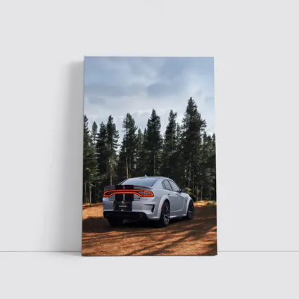 Dodge Charger Rear View Forest Background
