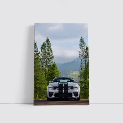 Dodge Charger SRT Forest Mountain Road