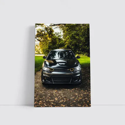 Dodge Charger Matte Black Park Setting