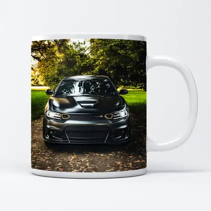 Dodge Charger Matte Black Park Setting