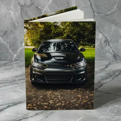 Dodge Charger Matte Black Park Setting
