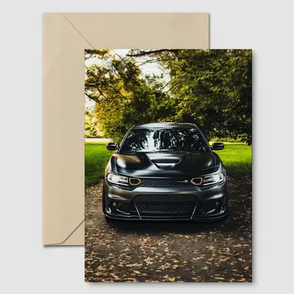 Dodge Charger Matte Black Park Setting
