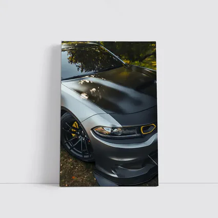 Dodge Charger Matte Gray Yellow Details Outdoors