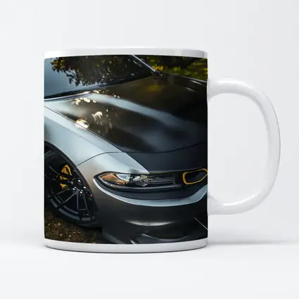 Dodge Charger Matte Gray Yellow Details Outdoors